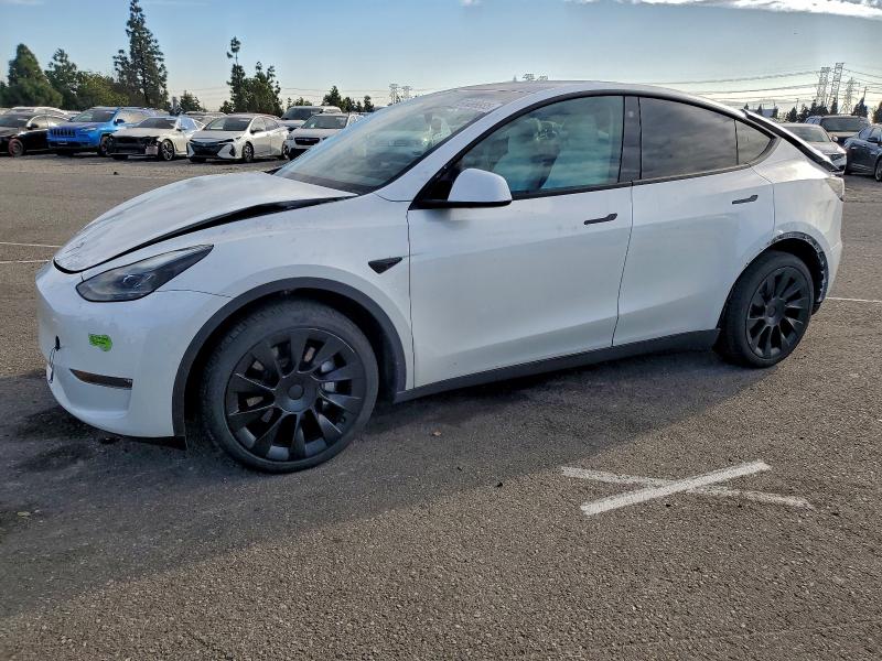TESLA MODEL Y 2023 with VIN 7SAYGDEE3PF621001 - Photo from auction