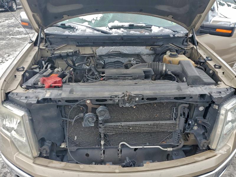 Photo 11 from auction – 2013 FORD F150 SUPER with VIN 1FTFX1EF8DKD99324