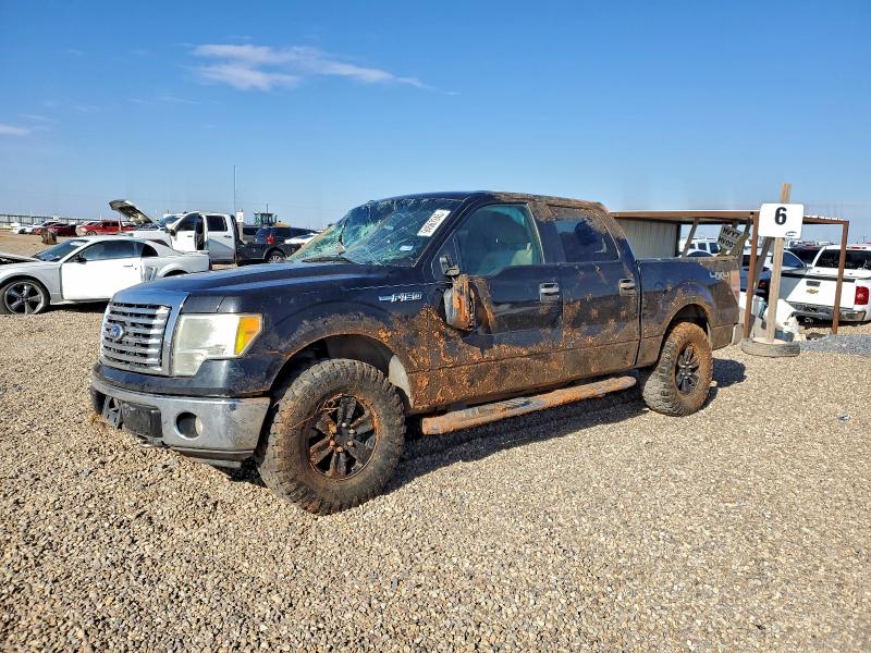 FORD F150 SUPER 2010 with VIN 1FTFW1EV4AFD42777 - Photo from auction