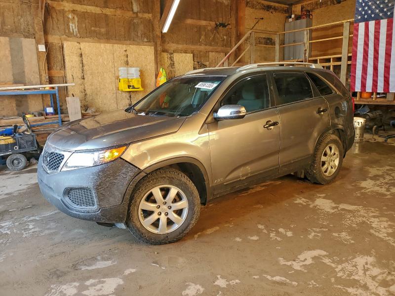 KIA SORENTO BA 2011 with VIN 5XYKTDA25BG158645 - Photo from auction