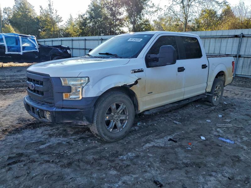 FORD F150 SUPER 2016 with VIN 1FTEW1CP1GKD90656 - Photo from auction