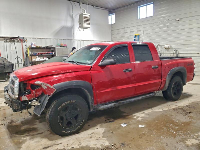 DODGE DAKOTA QUA 2005 with VIN 1D7HW48N25S149777 - Photo from auction