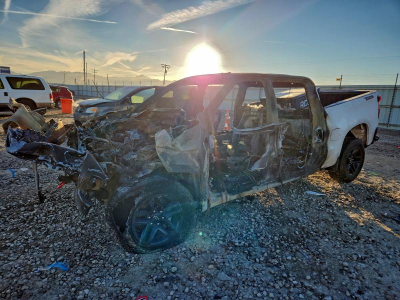 CHEVROLET SILVERADO 2020 with VIN 1GCPYFED7LZ268291 - Photo from auction