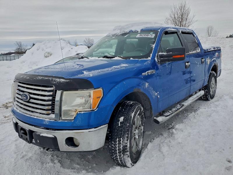 FORD F150 SUPER 2010 with VIN 1FTEW1E86AFD81747 - Photo from auction