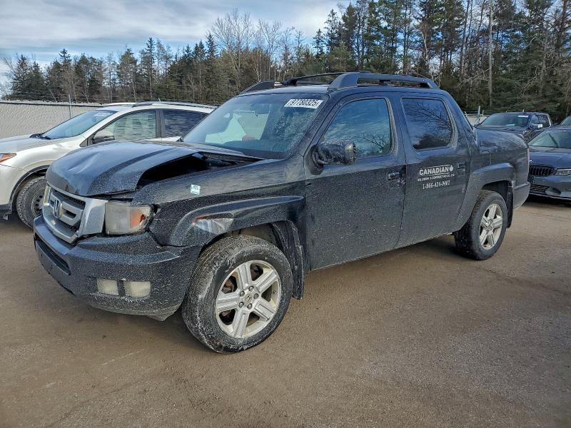 HONDA RIDGELINE 2011 with VIN 5FPYK1F54BB501152 - Photo from auction