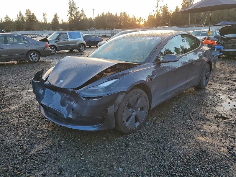 TESLA MODEL 3 2023 with VIN 5YJ3E1EA5PF417891 - Photo from auction