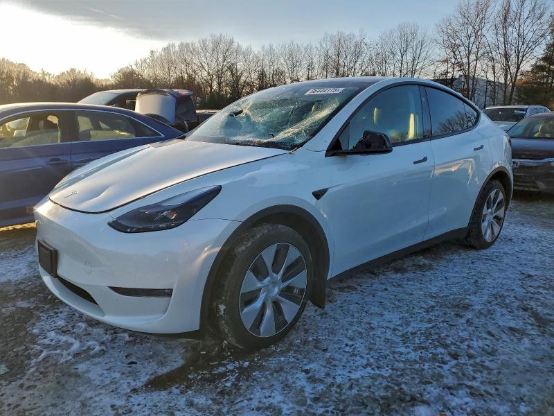 TESLA MODEL Y 2023 with VIN 7SAYGDEE9PF802037 - Photo from auction