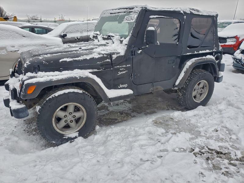 JEEP WRANGLER / 1999 with VIN 1J4FY19S7XP404471 - Photo from auction