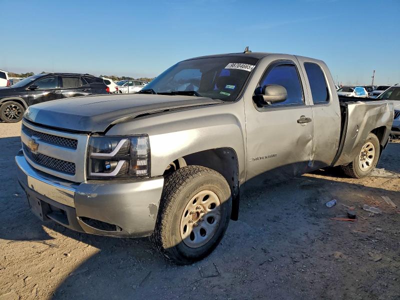 CHEVROLET SILVERADO 2007 with VIN 1GCEC19X77Z611359 - Photo from auction