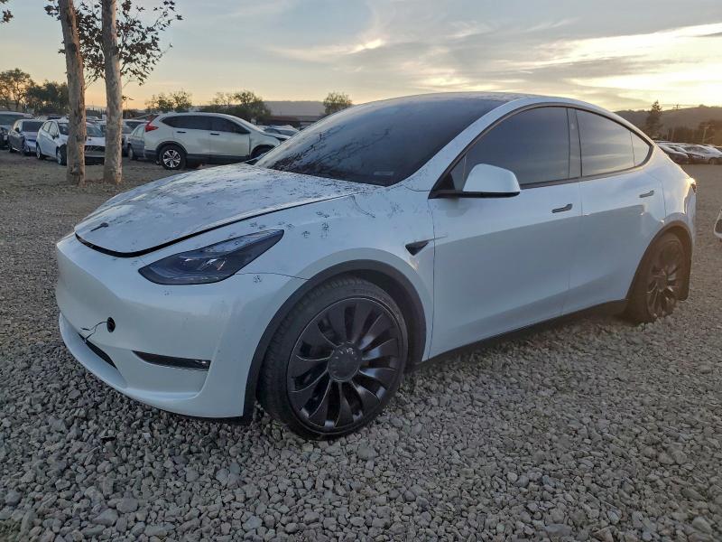 TESLA MODEL Y 2023 with VIN 7SAYGDEF1PF945444 - Photo from auction