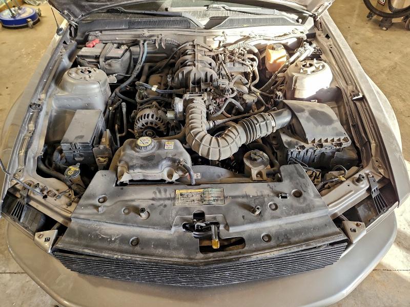 Photo 11 from auction – 2008 FORD MUSTANG with VIN 1ZVHT84N685182152