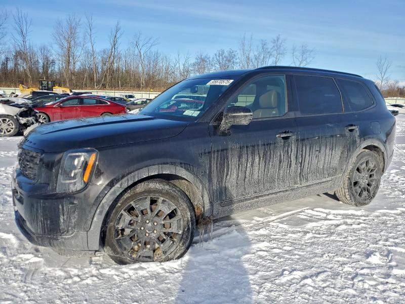 KIA TELLURIDE 2021 with VIN 5XYP5DHC4MG167922 - Photo from auction
