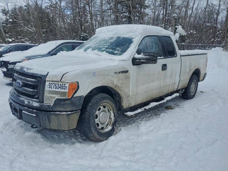 FORD F150 2013 with VIN 1FTEX1CM8DFC89203 - Photo from auction