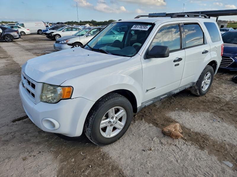 FORD ESCAPE HYB 2010 with VIN 1FMCU4K34AKB03309 - Photo from auction