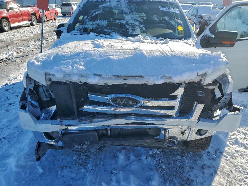 Photo 11 from auction – 2010 FORD F150 SUPER with VIN 1FTEX1C81AFB90821