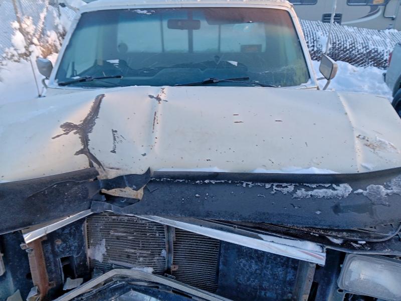 Photo 11 from auction – 1983 FORD F150 with VIN 1FTEF14F1DRA21367