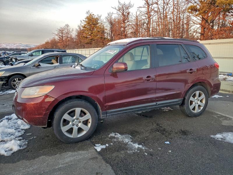 HYUNDAI SANTA FE S 2007 with VIN 5NMSH73E17H118442 - Photo from auction