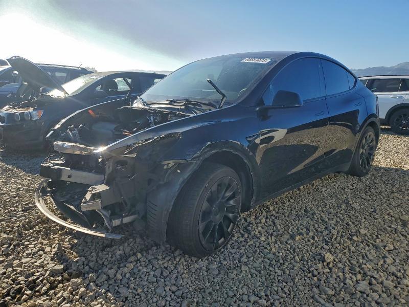 TESLA MODEL Y 2021 with VIN 5YJYGDEE0MF265387 - Photo from auction