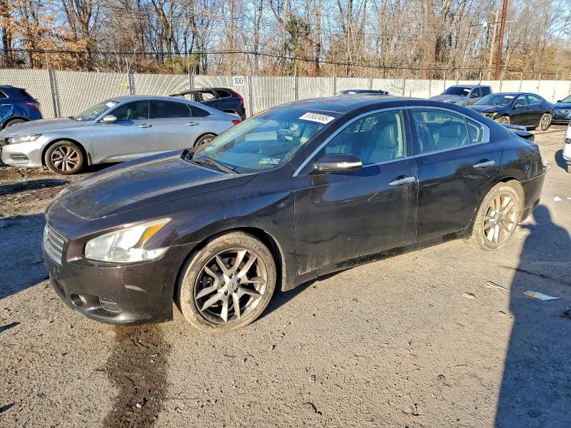 NISSAN MAXIMA S 2010 with VIN 1N4AA5AP6AC840090 - Photo from auction