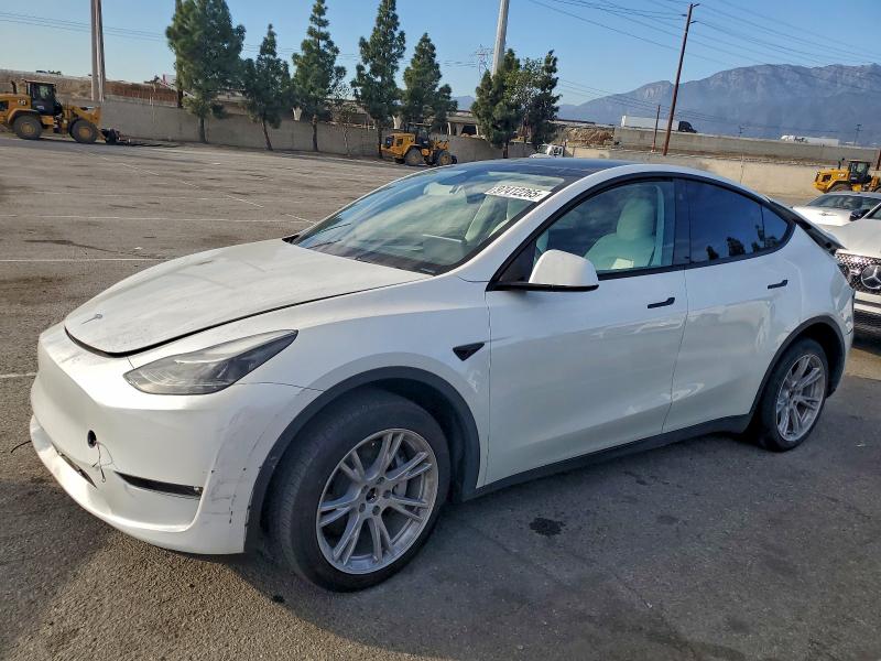 TESLA MODEL Y 2023 with VIN 7SAYGDEE2PF621085 - Photo from auction
