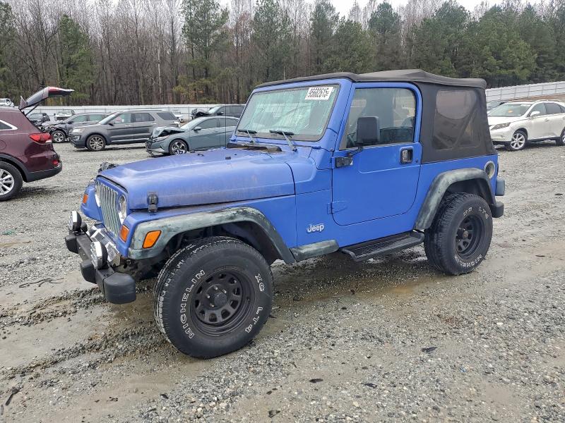 JEEP WRANGLER / 1998 with VIN 1J4FY29P2WP759743 - Photo from auction