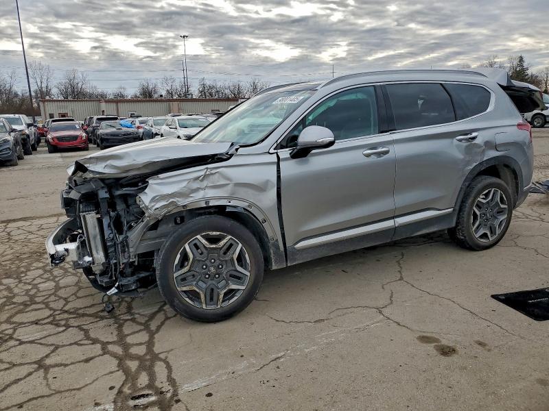 HYUNDAI SANTA FE L 2022 with VIN 5NMS4DAL9NH394716 - Photo from auction