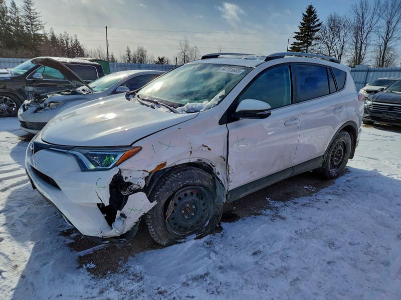 TOYOTA RAV4 XLE 2016 with VIN 2T3WFREV8GW298093 - Photo from auction