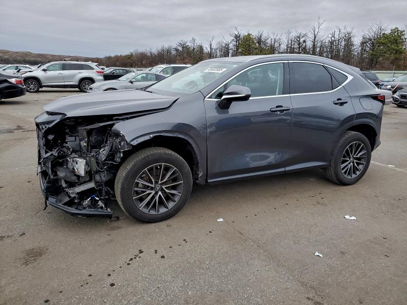 LEXUS NX 250 2023 with VIN 2T2GDCAZ4PC004016 - Photo from auction