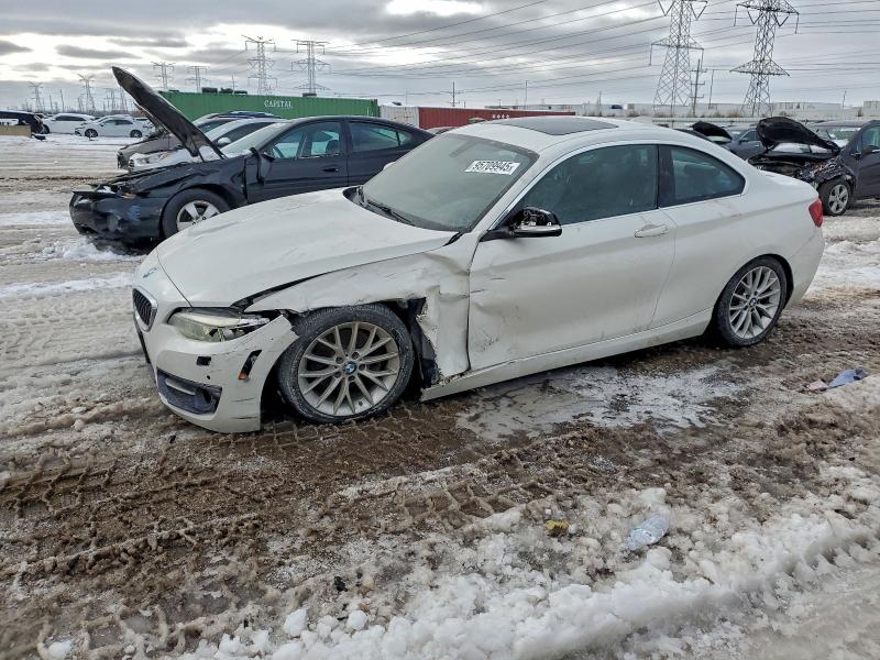 BMW 228 XI SUL 2016 with VIN WBA1G9C52GV598713 - Photo from auction