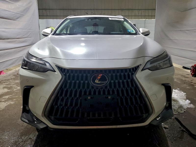 Photo 5 from auction – 2025 LEXUS NX 350 BAS with VIN 2T2AGCEZ1SC062228