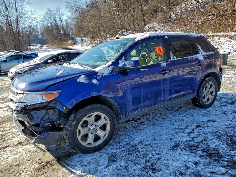 FORD EDGE SEL 2014 with VIN 2FMDK4JC5EBB43989 - Photo from auction