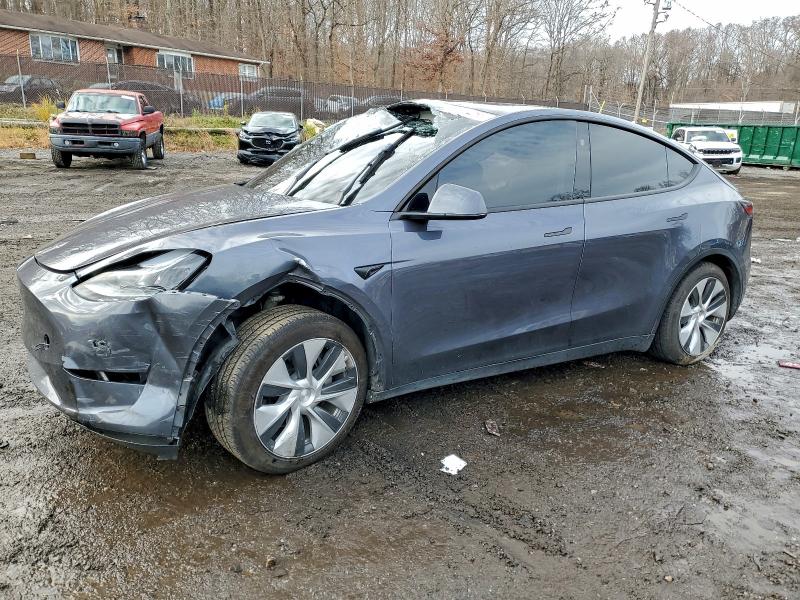 TESLA MODEL Y 2023 with VIN 7SAYGAEE3PF801531 - Photo from auction