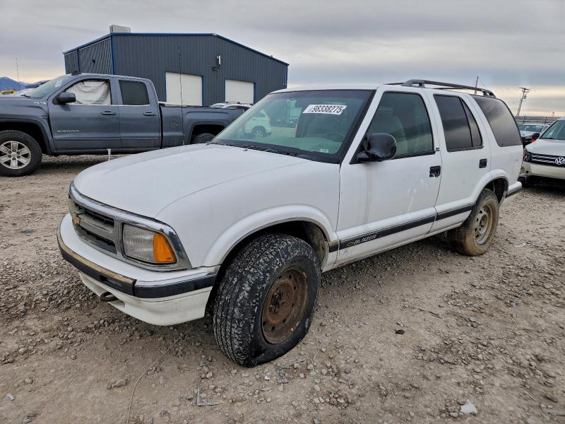 CHEVROLET BLAZER 1996 with VIN 1GNDT13W5TK128281 - Photo from auction