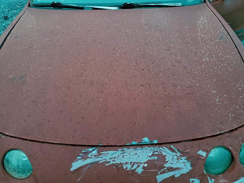 Zdjęcie 11 z aukcji – 1998 ACURA INTEGRA RS z VIN JH4DC4441WS016751