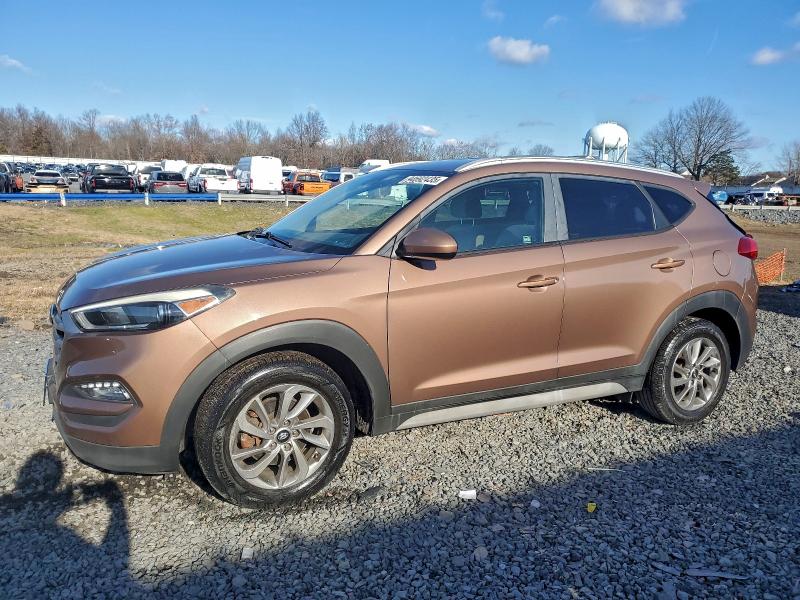 HYUNDAI TUCSON LIM 2017 with VIN KM8J3CA47HU497319 - Photo from auction