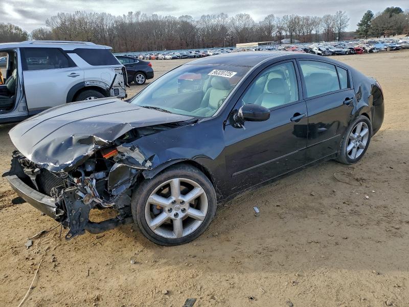 NISSAN MAXIMA SE 2005 with VIN 1N4BA41E25C807302 - Photo from auction