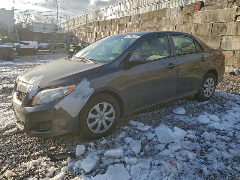 TOYOTA COROLLA BA 2010 with VIN 2T1BU4EE4AC366821 - Photo from auction