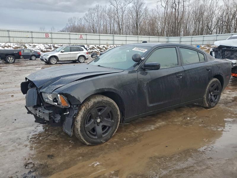 DODGE CHARGER PO 2014 with VIN 2C3CDXAT2EH350918 - Photo from auction
