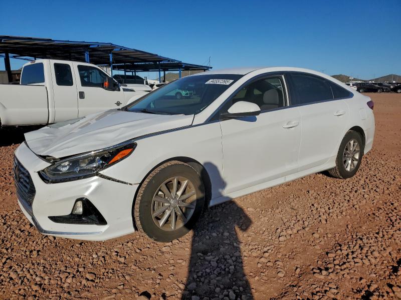 HYUNDAI SONATA SE 2019 with VIN 5NPE24AF3KH736639 - Photo from auction