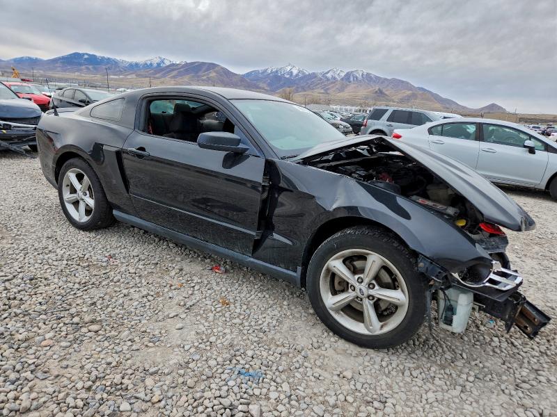Photo 4 from auction – 2011 FORD MUSTANG with VIN 1ZVBP8AM2B5141403