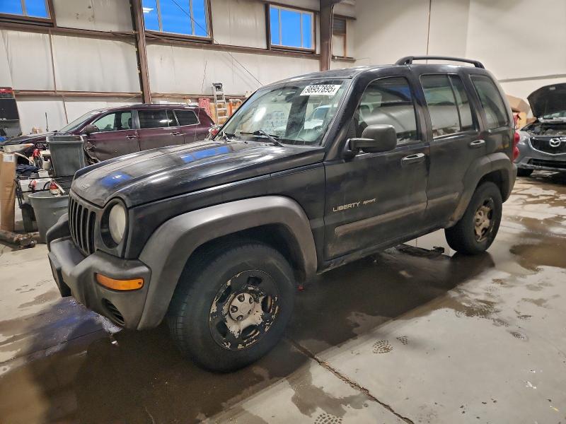 JEEP LIBERTY SP 2003 with VIN 1J4GL48K63W652409 - Photo from auction