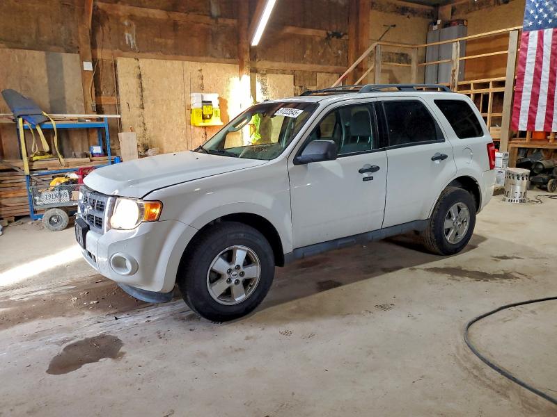 Photo 1 from auction – 2009 FORD ESCAPE XLT with VIN 1FMCU93G89KD05502