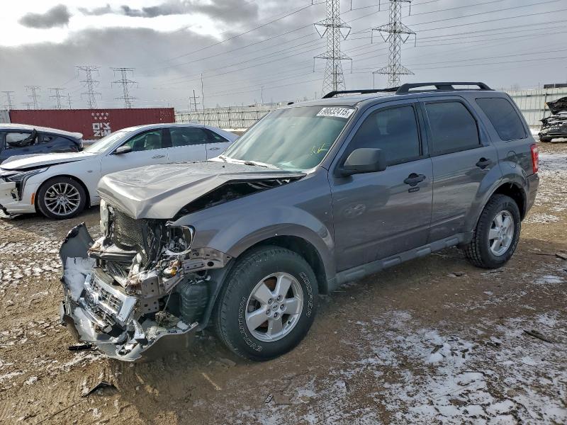 FORD ESCAPE XLT 2010 with VIN 1FMCU0D7XAKB09592 - Photo from auction