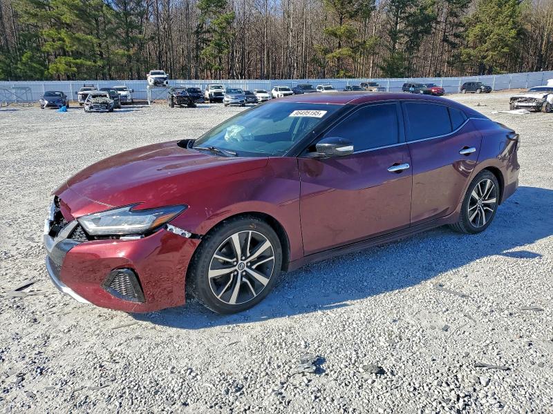 NISSAN MAXIMA SV 2021 with VIN 1N4AA6CVXMC503699 - Photo from auction