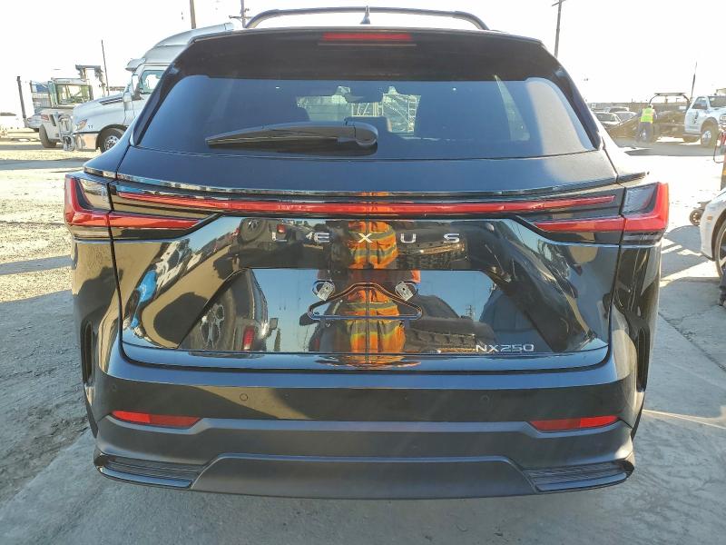 Photo 6 from auction – 2025 LEXUS NX 250 BAS with VIN 2T2ADCAZXSC020817