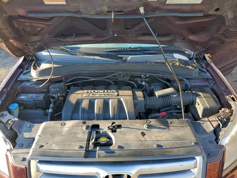 Photo 11 from auction – 2008 HONDA PILOT EXL with VIN 5FNYF18538B004984