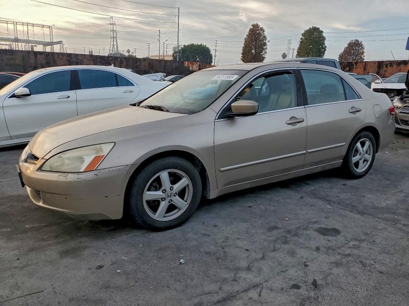 HONDA ACCORD EX 2003 with VIN JHMCM56663C046640 - Photo from auction