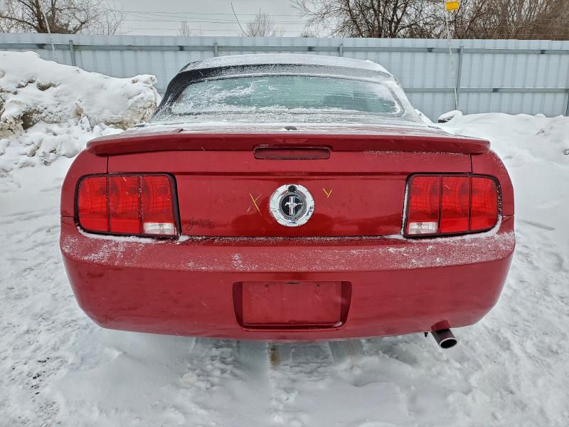 Photo 6 from auction – 2008 FORD MUSTANG with VIN 1ZVHT84N185107200