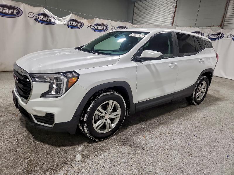 GMC TERRAIN SL 2024 with VIN 3GKALMEG1RL295655 - Photo from auction