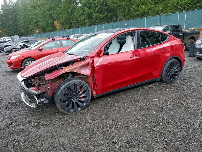 TESLA MODEL Y 2023 with VIN 7SAYGDEF1PF585656 - Photo from auction